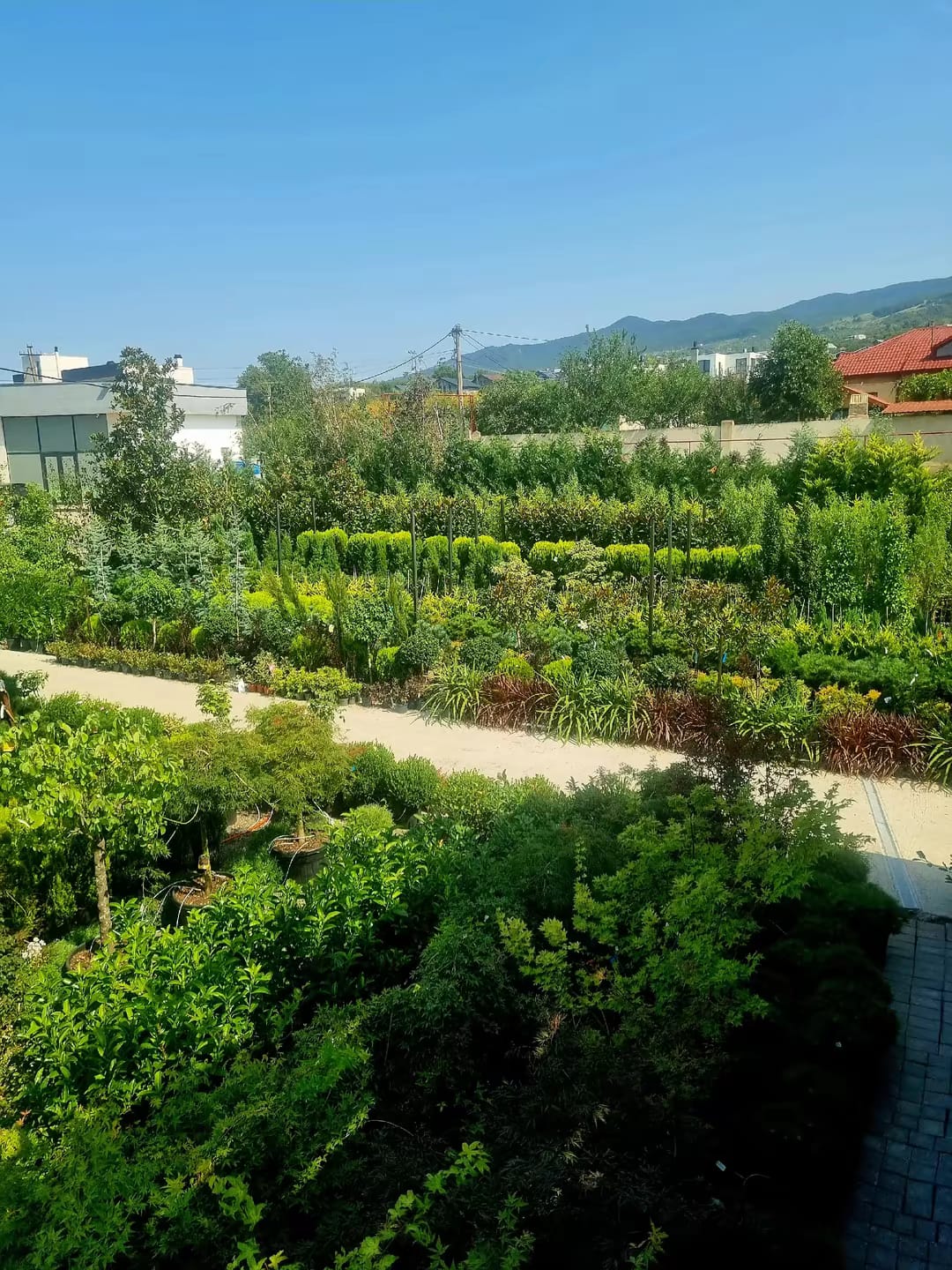 Landscape Maintenance